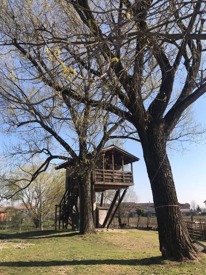 La Casa Sull'Albero Oasi Certosa Di Pavia Villa Borgarello Bagian luar foto