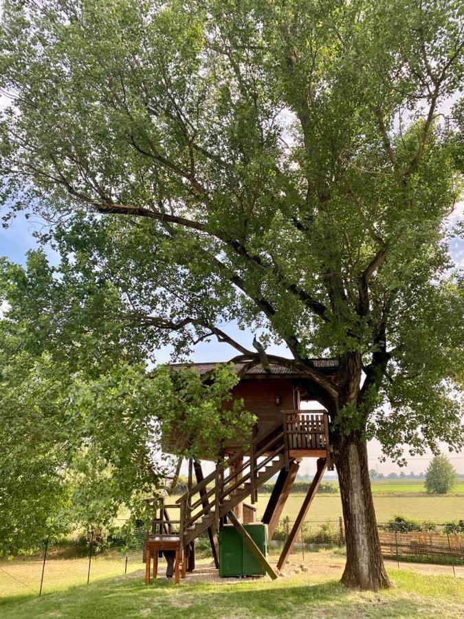 La Casa Sull'Albero Oasi Certosa Di Pavia Villa Borgarello Bagian luar foto