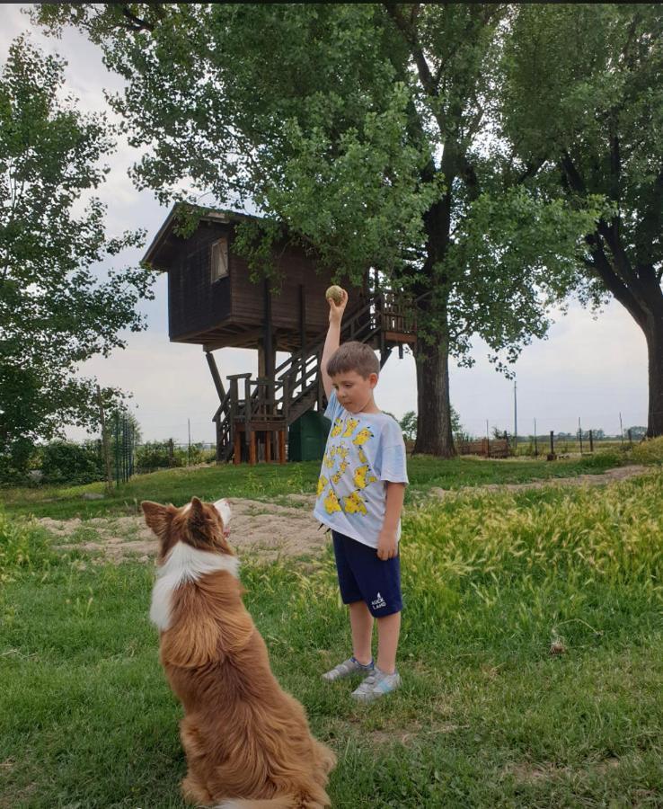 La Casa Sull'Albero Oasi Certosa Di Pavia Villa Borgarello Bagian luar foto