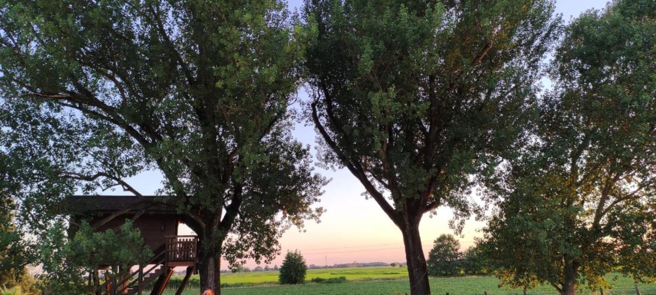 La Casa Sull'Albero Oasi Certosa Di Pavia Villa Borgarello Bagian luar foto