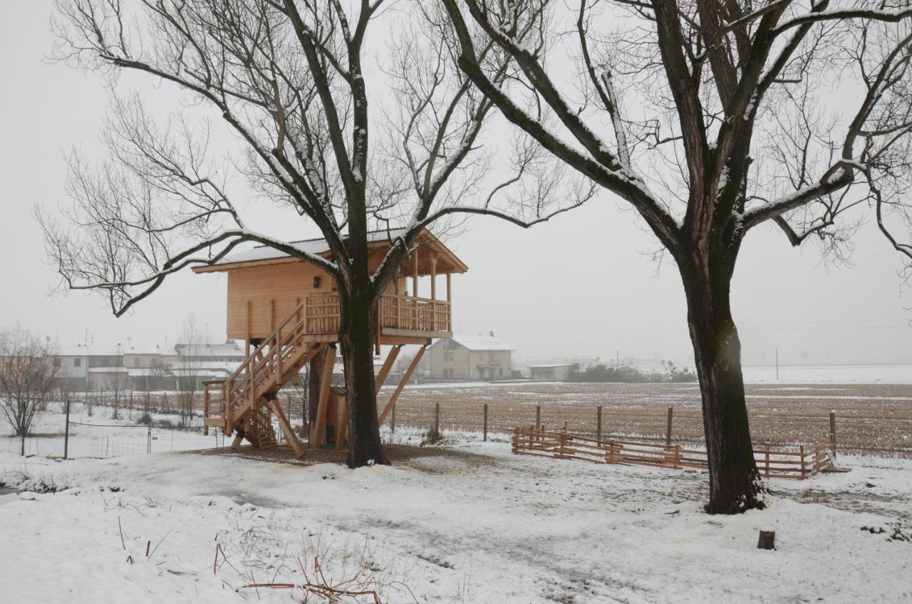 La Casa Sull'Albero Oasi Certosa Di Pavia Villa Borgarello Bagian luar foto