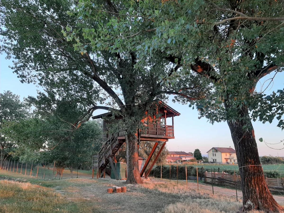 La Casa Sull'Albero Oasi Certosa Di Pavia Villa Borgarello Bagian luar foto