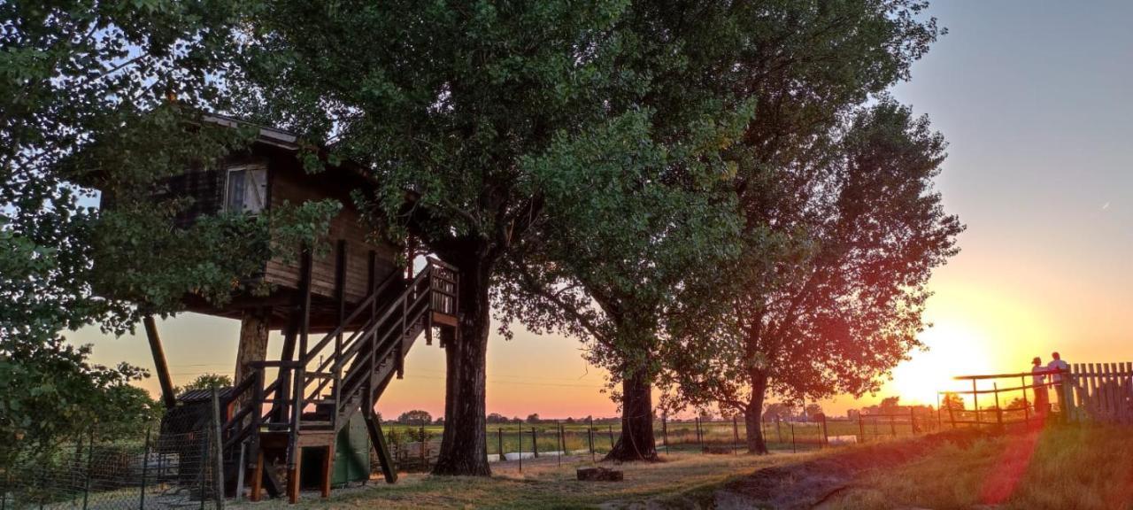 La Casa Sull'Albero Oasi Certosa Di Pavia Villa Borgarello Bagian luar foto